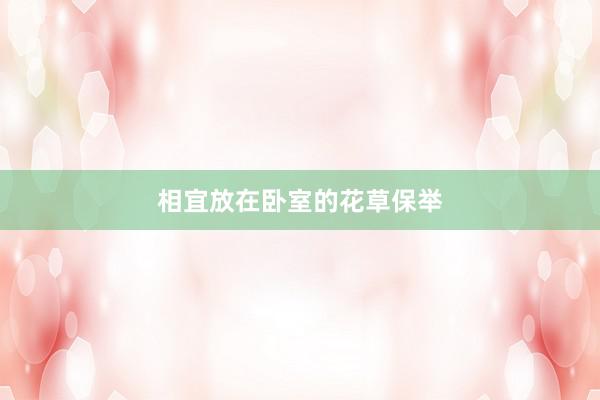相宜放在卧室的花草保举